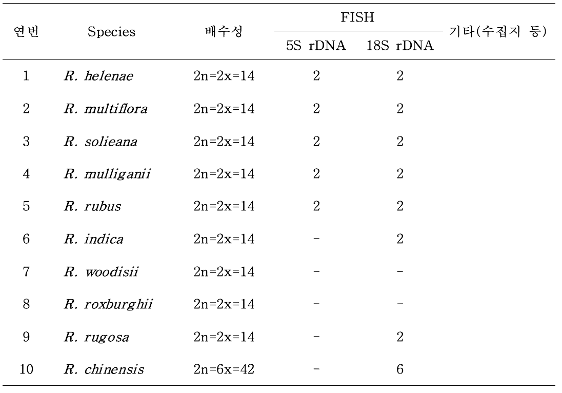 주요 장미 원종의 배수성 및 FISH 분석 결과