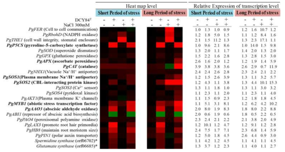 Heat map of qRT-PCR results for salinity responsive genes. The relative expression of ginseng genes was normalized using PgCYP as the housekeeping gene. Bold letters indicate significant fold changes in relative expression from at least one kind of treatment
