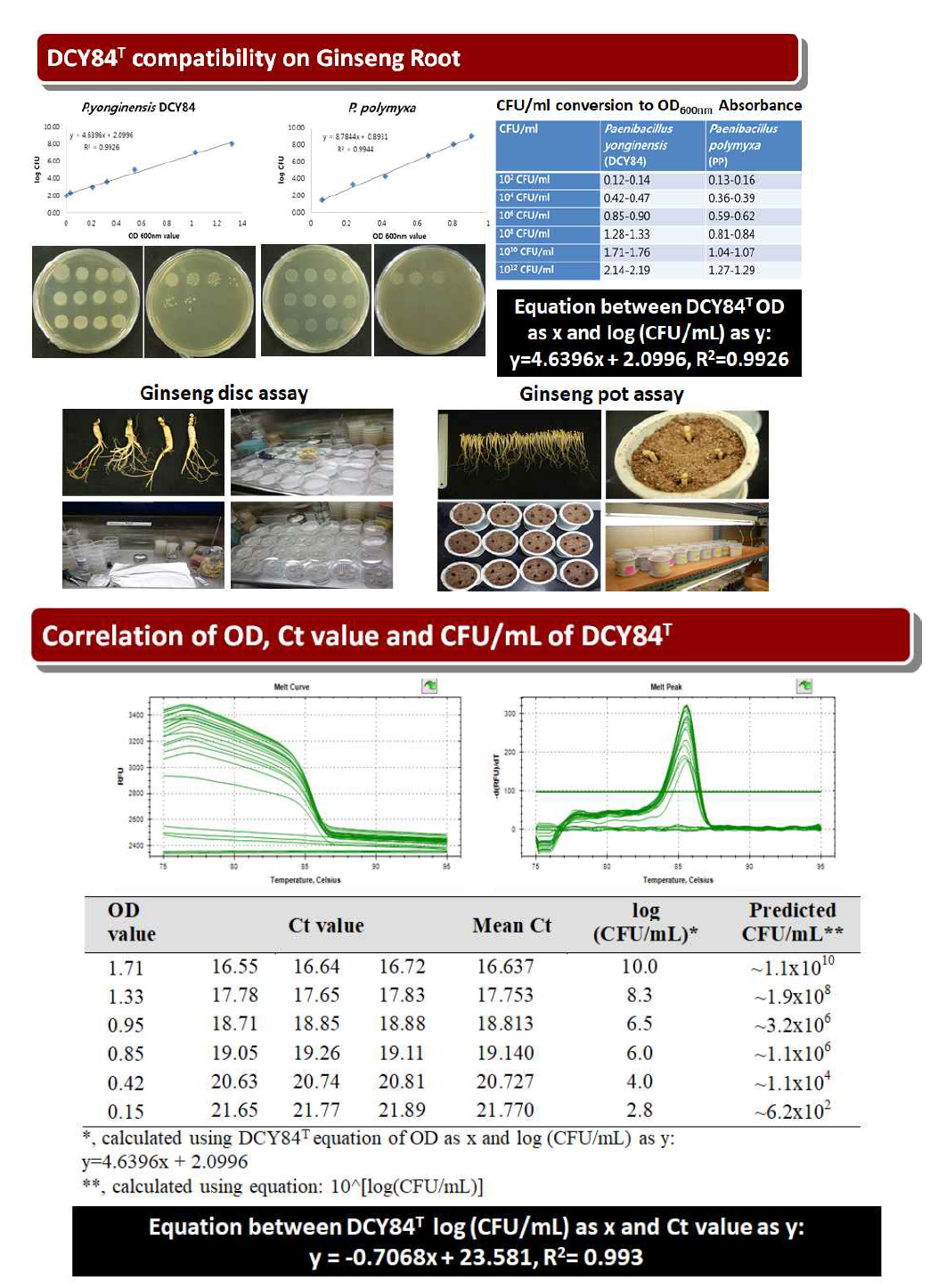 Real time PCR using the specific marker for monitering of DCY84T