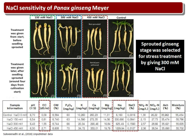 Soil property and salt stress in P. ginseng’s different growth phases