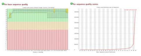 음파처리 애기장대의 ChIP-seq 데이터의 QC 결과(평균 Phred score > 30)
