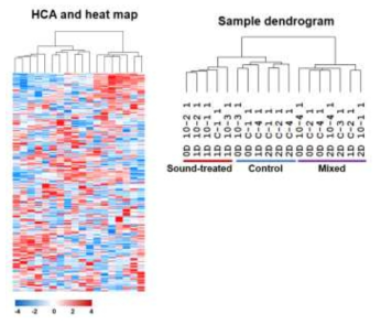 음파처리 smallRNA-seq 데이터에서 miRNA의 unsupervised hierarchical clustering 분석