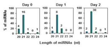 음파 처리에 따라 변화하는 miRNAs의 길이 분포