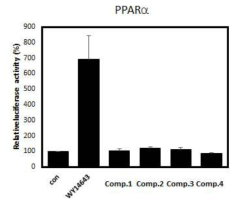 단풍마 유래 성분의 in vitro PPAR 활성 테스트 결과
