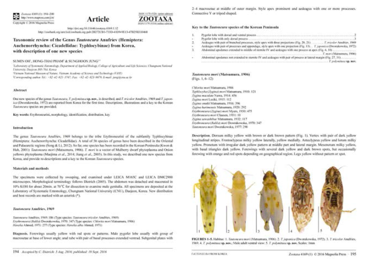 한반도산 애매미충아과에 속하는 Tautoneura 속의 분류학적 재검토에 관한 논문