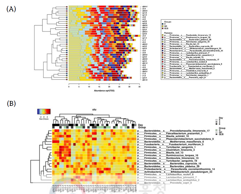 개체별 분변미생물 군집 분포 및 계층 구조에 대한 정량적 시각화 (A)clustering of microbial community profiles, (B)Heat-map 분석