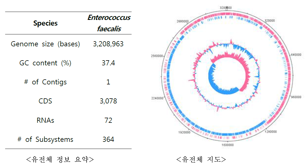 Genome analysis of Enterococcus faecalis KACC 92220