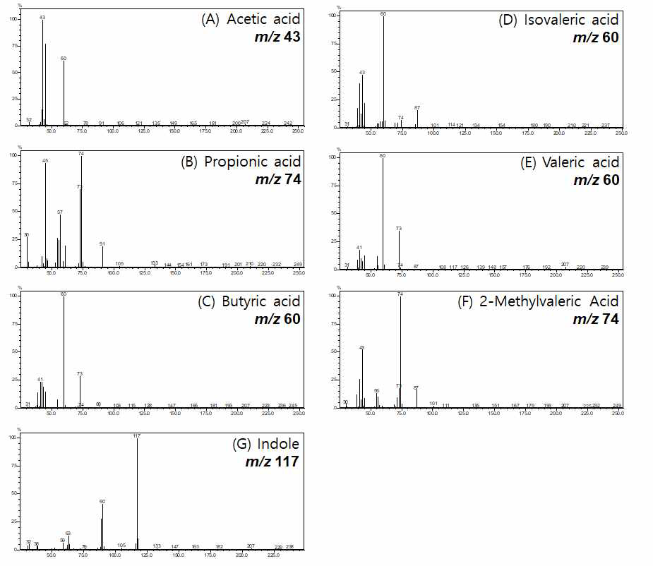 GC-qMS를 이용한 휘발성 대사산물들의 질량스펙트럼