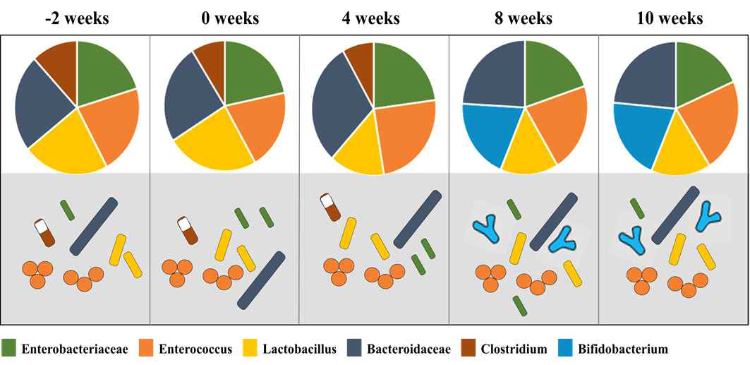 Changes of fecal microflora by cheese containing B. longum during weeks 12