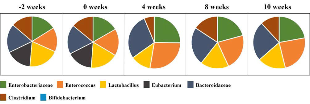 Effect of cheese without B. longum intake on fecal microflora of 5 dogs