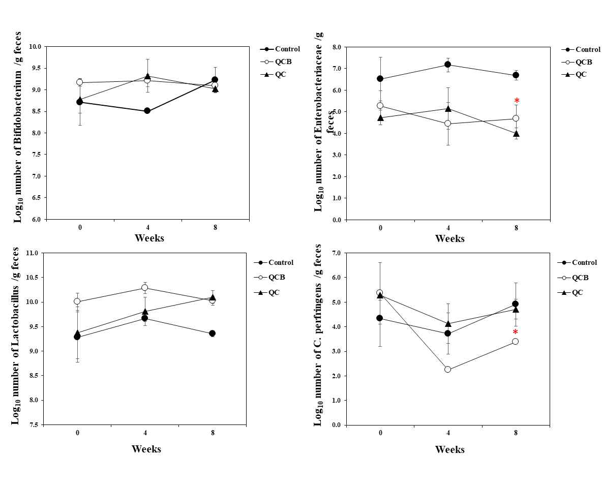 Effects of cheese containing Bifidobacterium longum (QCB) on the intestinal microflora of healthy companion dogs. Data represents the mean ± SD of 5 dogs from each group. * p<0.05; compared with the control group
