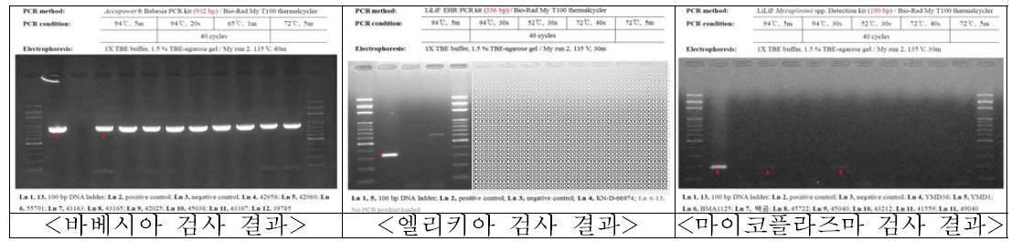 각 병원체별 PCR 검사 결과