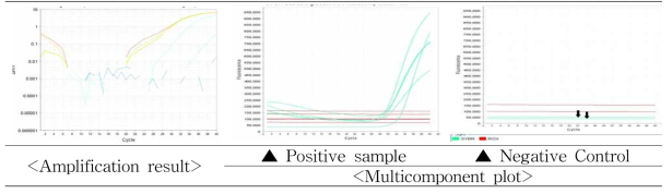 Babesia gibsoni SYBR Green real-time PCR 결과