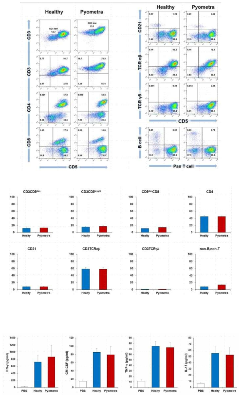 자궁축농증 말초혈액 내 림프구 subset 및 cytokine 변화 분석