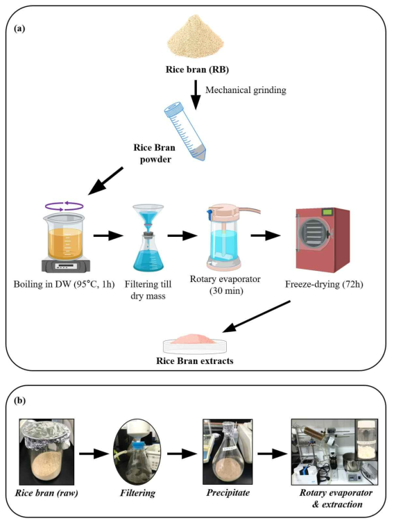 Schematic representation of the preparation of rice bran (RB) in this study)