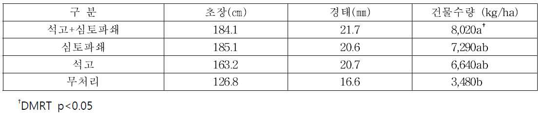 석고 및 심토파쇄 처리에 따른 사료용 옥수수의 생육 및 수량(토양 염농도 0.4%)