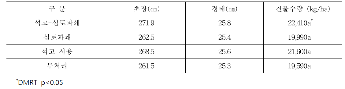 석고 및 심토파쇄 처리에 따른 사료용 옥수수의 생육 및 수량(토양 염농도 0.05%)