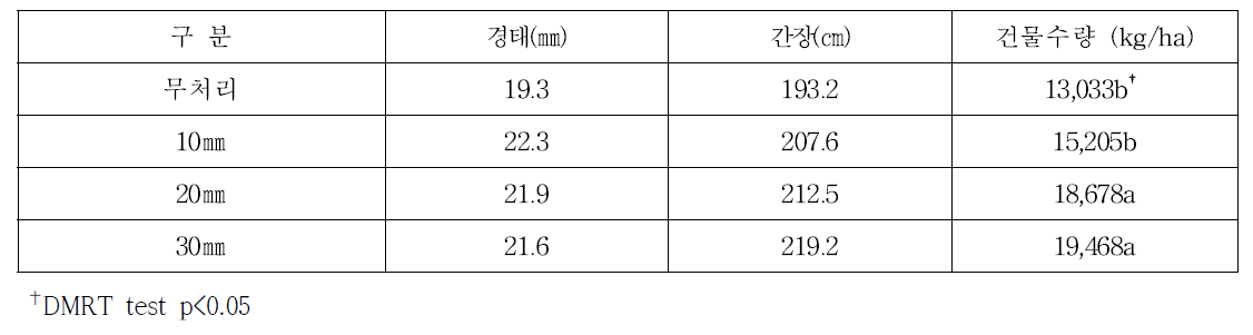 고랑관개 처리에 따른 사료용 옥수수의 생육 및 수량(2017)