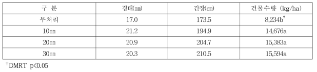 점적관수 처리에 따른 사료용 옥수수의 생육 및 수량(2017)