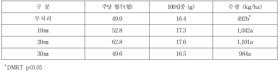 점적관수 처리에 따른 콩 생육 및 수량(2017)