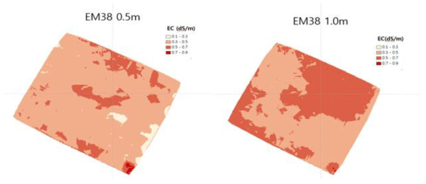 EM38을 이용한 시험포장의 토양 염농도 분포(2018)