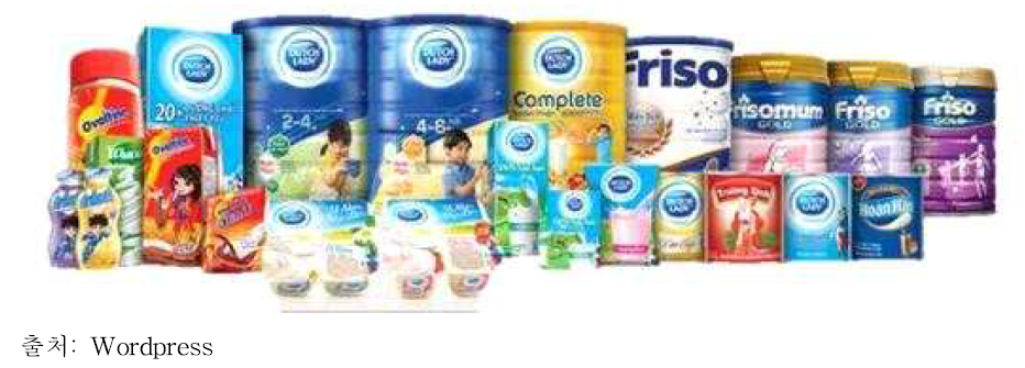 FrieslandCampina 주요 제품