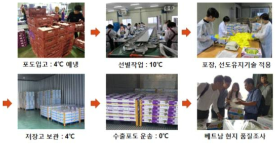 선도유지기술 투입 시범수출 흐름도