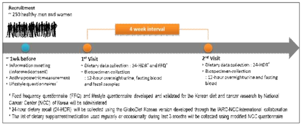 Cross-sectional 연구 디자인