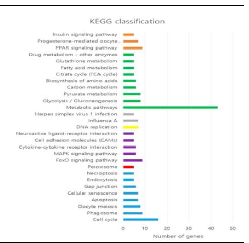 KEGG classification
