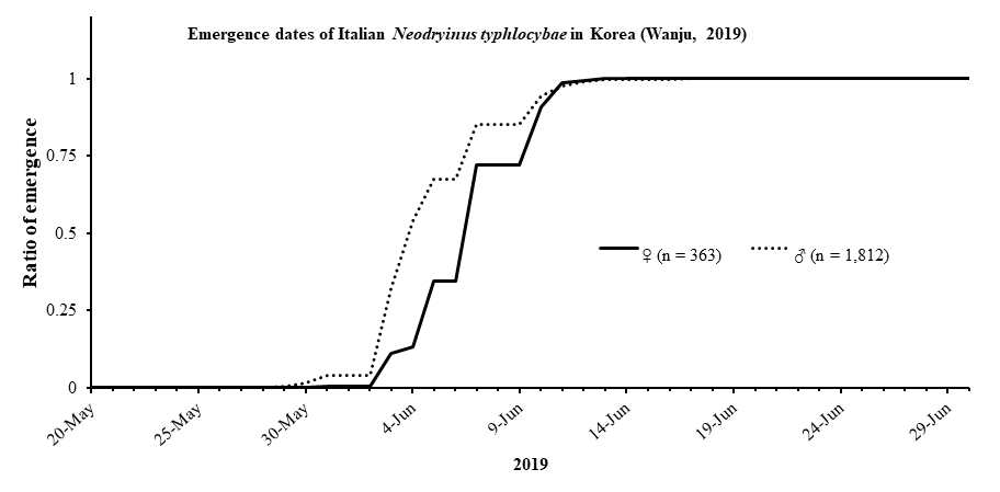 2019년 이탈리아에서 도입된 선녀벌레집벌레(Neodryinus typhlocybae)의 우화시기(2019)