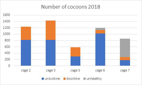 Cocoon production of 2018