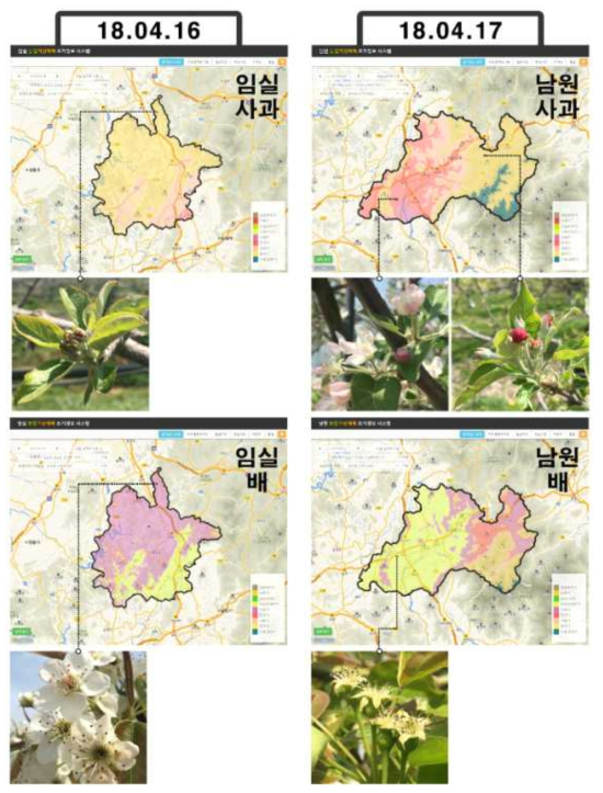 남원, 임실 지역 배, 사과의 2018년 실증 결과 (조기경보 서비스와 실제 비교)
