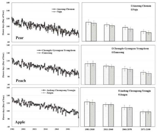 미래 기후변화 시나리오를 적용한 배(신고)의 개화일 변동 (왼쪽은 연차별, 오른쪽은 30년 단위 평균 값 및 표준편차)