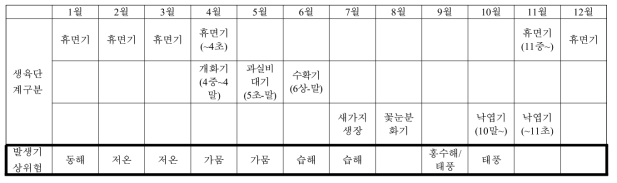 오디 (중생종, 노지 기준)