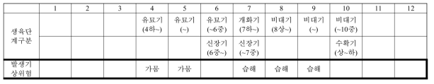 땅콩