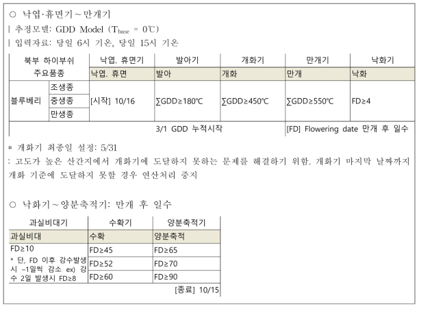 블루베리