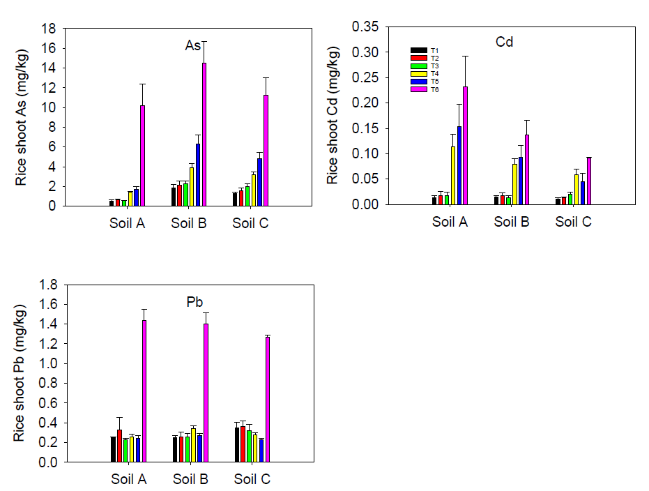 각 처리별 볏짚에 축적된 비소, 카드뮴, 납 농도