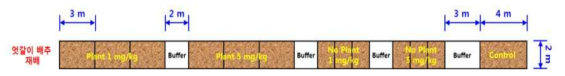 엇갈이배추 중 procymidone 흡수이행 시험 구획 배치도