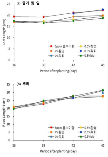 저감화제 처리 토양 중 시금치 지상부 및 지하부 길이 변화