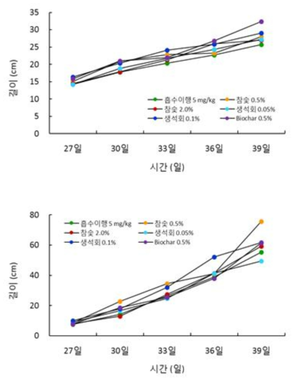 저감화제 처리 토양 중 엇갈이배추 지상부 및 지하부 길이 변화