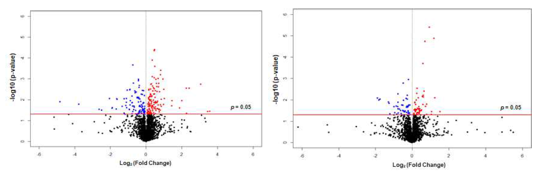 일상결식군 대비 쌀중심 및 밀중심 아침식사군의 대사체의 비교 A. 쌀 vs 일상군 비교. p < 0.05, log2(fold change) < -1: blue, p  1: red), B. 밀 vs 일상군 비교