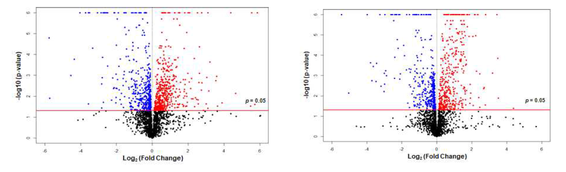 쌀과 밀 중심 식사 전후 대사체 비교 A. 쌀 중심식사군의 전후 비교. p < 0.05, log2(fold change) < -1: blue, p  1: red), B. 밀 중심식사군의 전후 비교