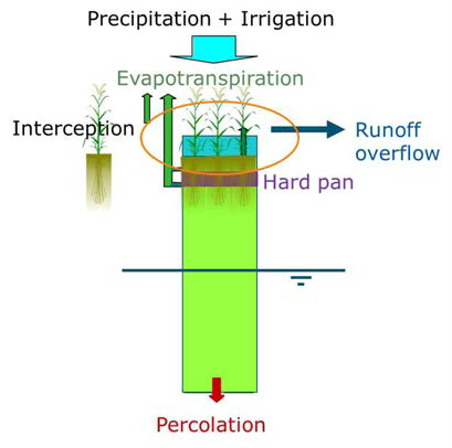 PEARL에서 hydrological process 개념화한 그림 (van den Berg et al., 2016)