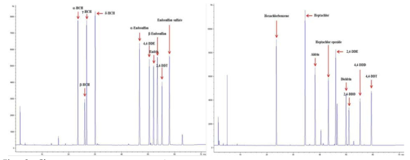 Chromatogram (GC‐μECD) for residual organochlorine pesticides
