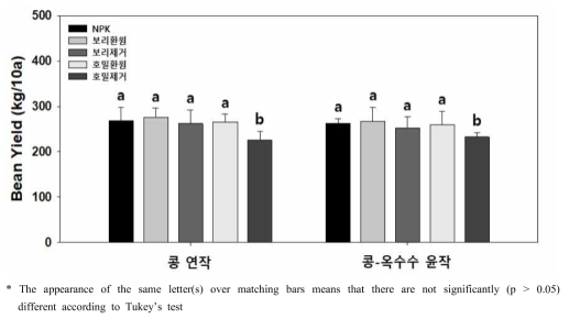 콩-옥수수-풋거름 작물 윤작에 의한 콩 수량변화