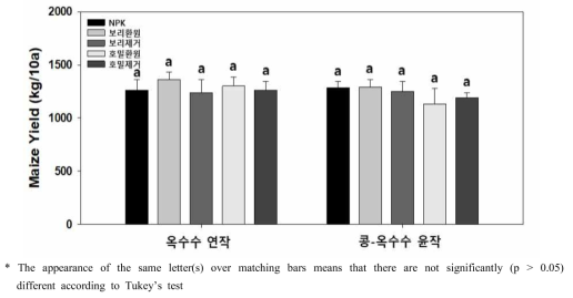 콩-옥수수-풋거름 작물 윤작에 의한 옥수수(풋이삭) 수량변화