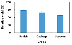 지표 피복에 의한 무(Radish), 배추 (Cabbage), 콩(Soybean)의 수량 변화