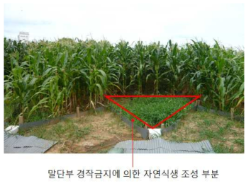 농경지(밭) 말단부 경작금지에 의한 자연식생 조성 시험구