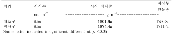 2019년 침사구 시험포장의 옥수수 생산성