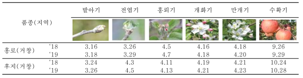 사과 홍로, 후지 주요 생육기 (월, 일)